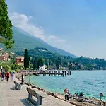 Gabbiano Malcesine